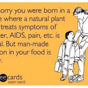 Plant vs. Poison