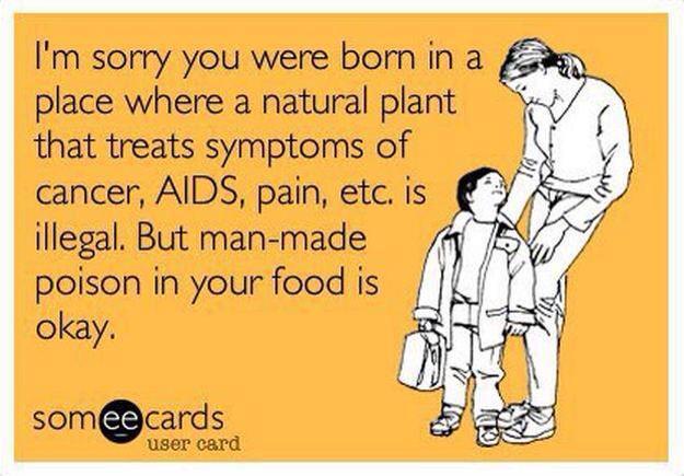 I'm sorry you were born in a place where a natural plant that treats symptoms of cancer, AIDS, pain, etc. is illegal. But man-made poison in your food is okay.